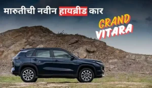 Maruti Suzuki Grand Vitara