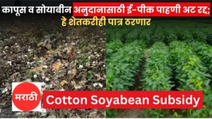 Cotton And Soyabean Subsidy