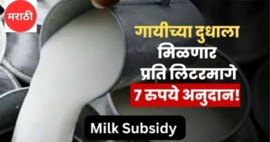 Milk Subsidy