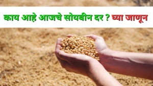 18 Oct Soyabean Rate