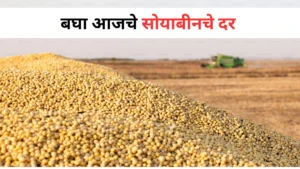 Soyabean Rate 07 Oct